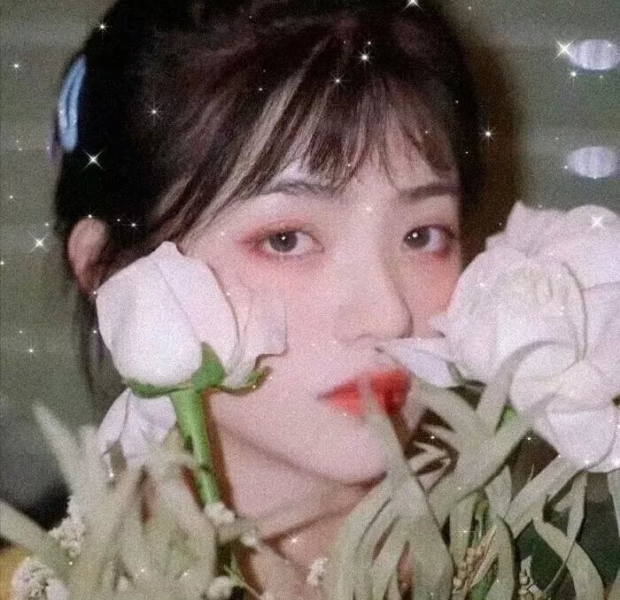 不归的使者